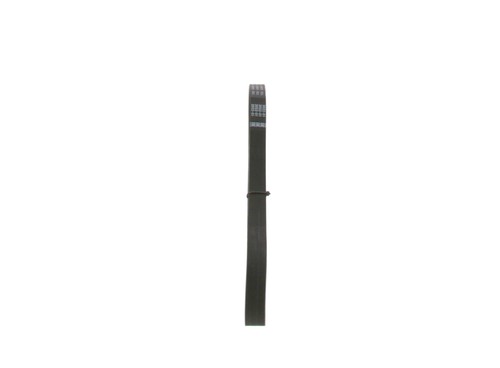 Bosch ribbed belt ford - v-ribbed,