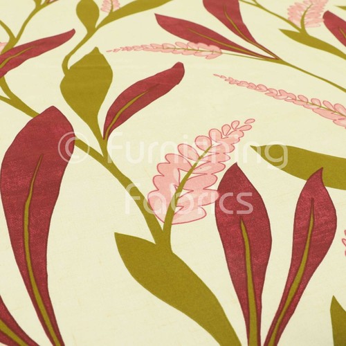 Belvedere plant printed - belvedere,