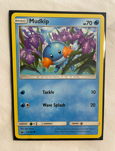 Mudkip celestial storm - mudkip,