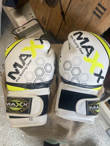 Maxx boxing gloves - rex, leather