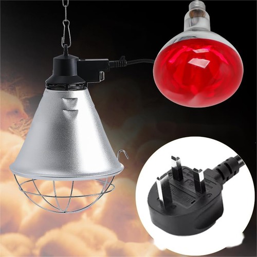 250w poultry brooder heat lamp - poultry,