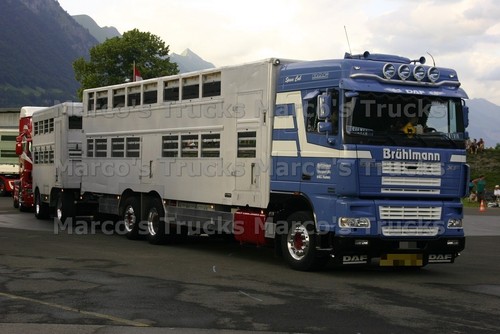 Truck photo daf - truck, animal