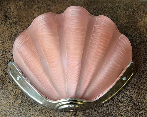 Sarsaparilla clam shell wall - sarsaparilla,