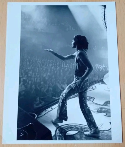 Mick jagger the - mick, (the