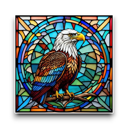 Large bald eagle bird square - bird,