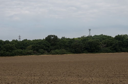 Photo 6x4 field off ashtead - photo,