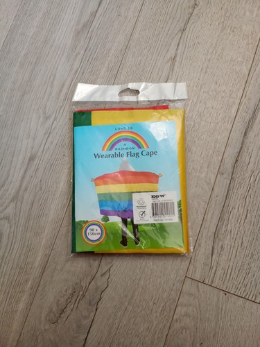 Rainbow lgbt pride flag - pride,