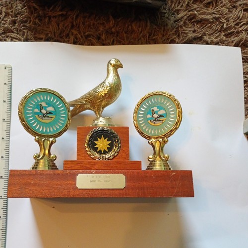 Pigeon racing trophy - trophy,