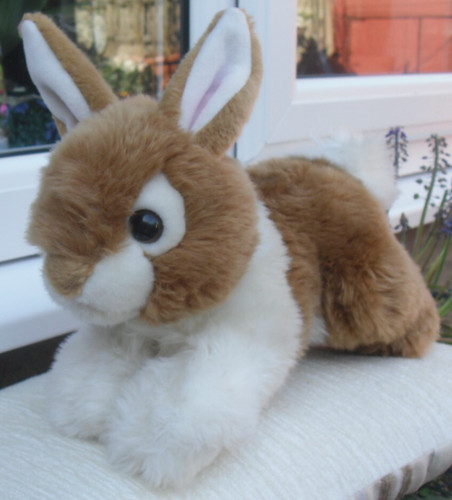 Lovely aurora brown white - aurora, brown/white