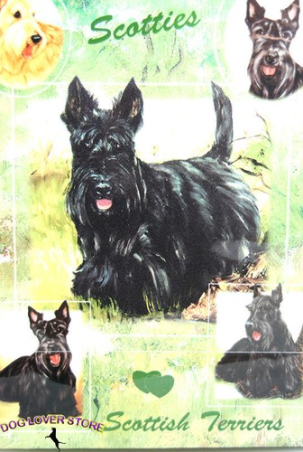 Scottish terrier gift - terrier, wrapping