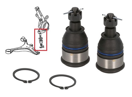 Front lower ball joints - lower,
