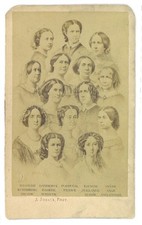 700-Albumin View Card CDV