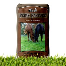 25 LBS Horse Pasture Grass