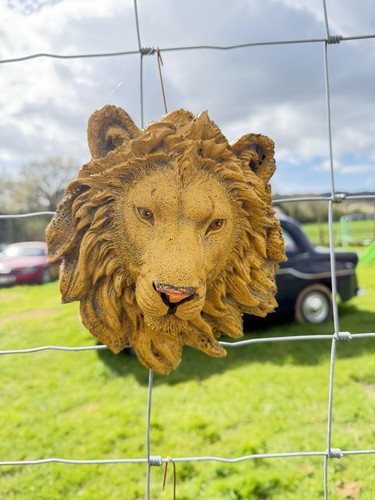 Lion garden plaque - lion, medium