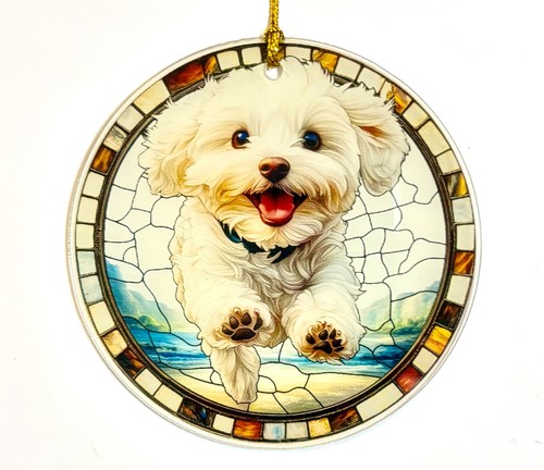 Small happy maltese bichon - small, dog