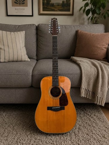Fender 310 12 string - f-310-12, 12-string