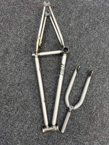 Raw polished stolen brand - stolen,