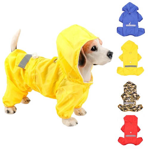 Pet dog rain - rain, coat