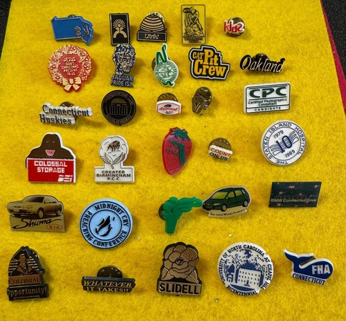 Job lot pin - 30,