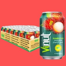  Vinut Dragon Fruit Juicr 24 X