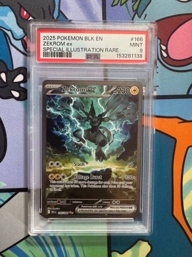 Pokémon tcg zekrom sir - tcg,