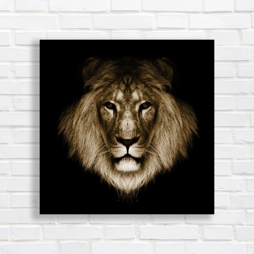 Lion face and lions - lions, head