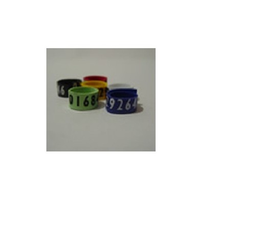 Racing pigeon ets chip leg - pigeon,