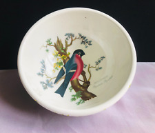 Vintage Portmeirion Birds of Britain Fruit Salad Bowls Soup Breakfast (J)