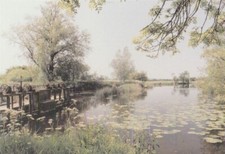  New Postcard,Dorset.Tranquil