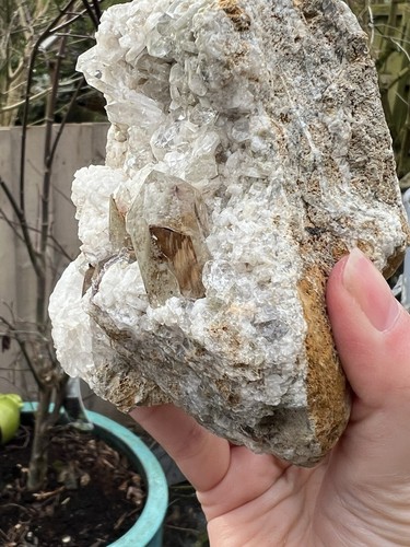 Brookite with himalayan quartz - with,