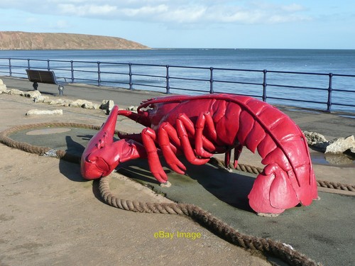 Photo 6x4 giant - giant, lobster