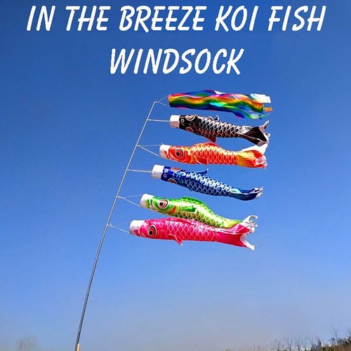 100cm japan style carp - japan,