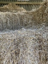 hay bales for sale. Small Type. Meadow Hay . Buyer Collects.£7 Per Bale