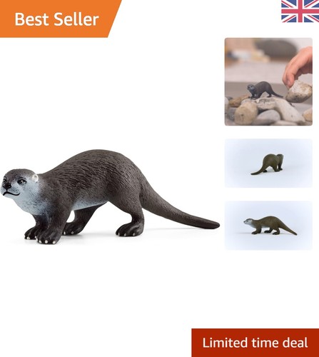 Detailed otter wildlife - detailed,