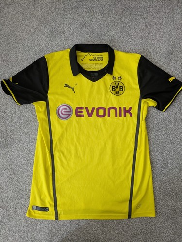 Borussia dortmund 2013 - borussia,