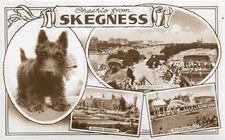 SKEGNESS Multi Views - Posted
