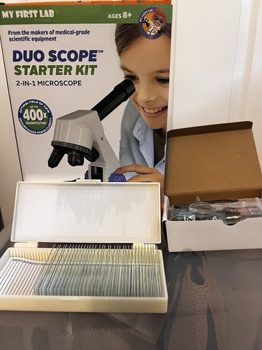 First lab duo - my,