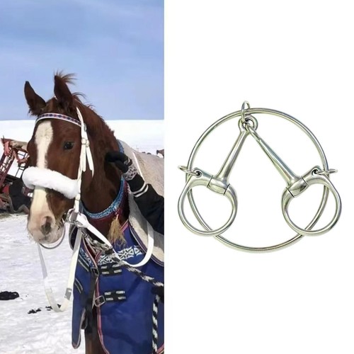 Horse training equipment easy - horse,