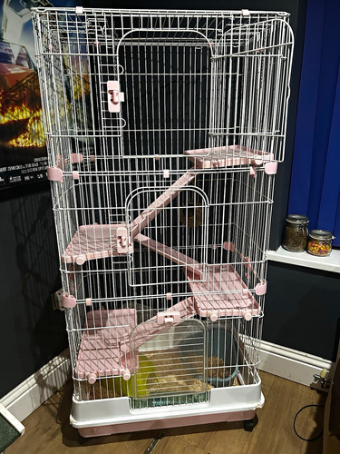 Pawhut tier steel rat - 3, cage
