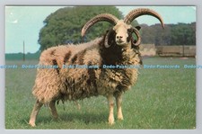 R783341 Glos Cheltenham Jacob