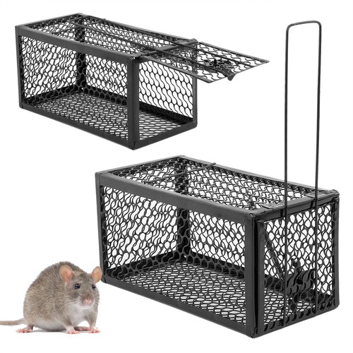 Rat trap mouse - rat,
