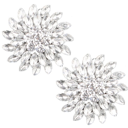 Shoe jewellery clip - jewellery,