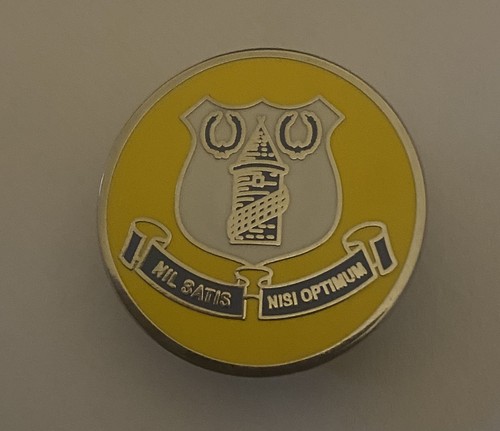 Everton pin badge 26mm - -,