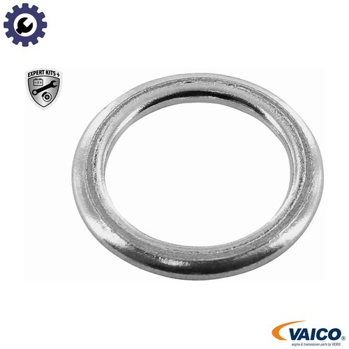 Seal ring oil drain - oil, plug