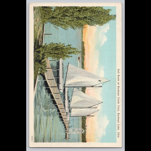 Postcard sail boats - at, buckeye