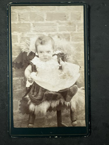 Cdv child family collection - cdv,