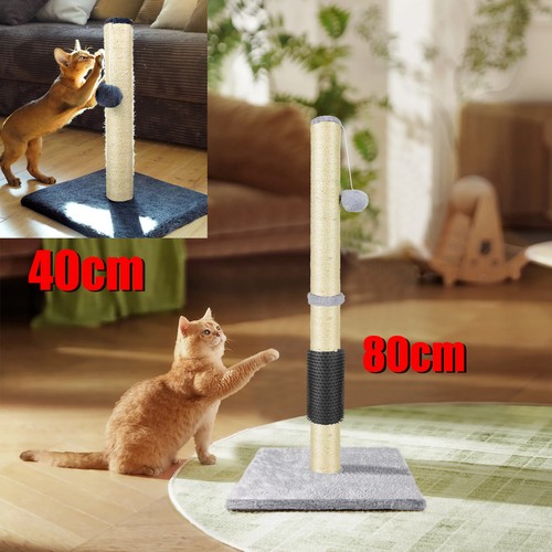 Cat scratching post - cat,