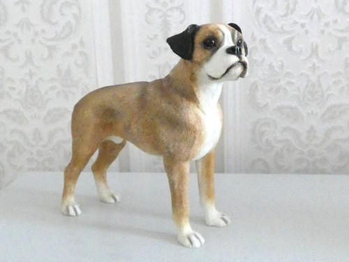 Boxer dog leonardo - by,