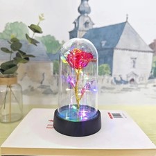 Galaxy Forever Rose Flower LED