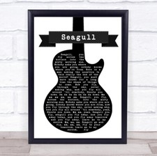 Seagull Black & White Guitar